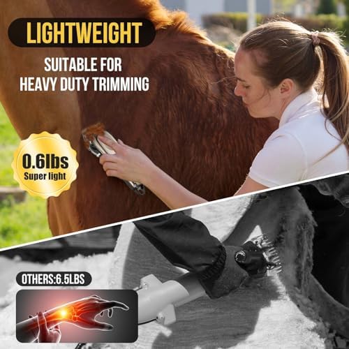 Esquiladora Inalámbrica Caballo 4 Peines