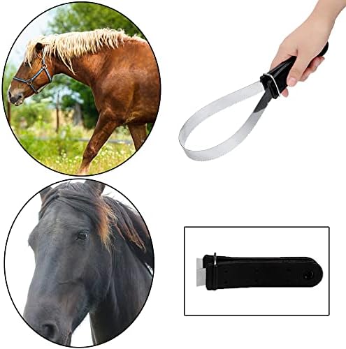 Raspador Sudor Acero 29.5cm Caballo