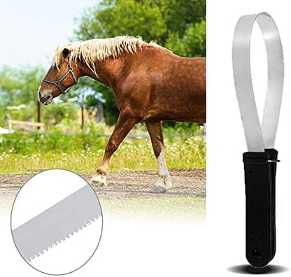 Raspador Sudor Acero 29.5cm Caballo