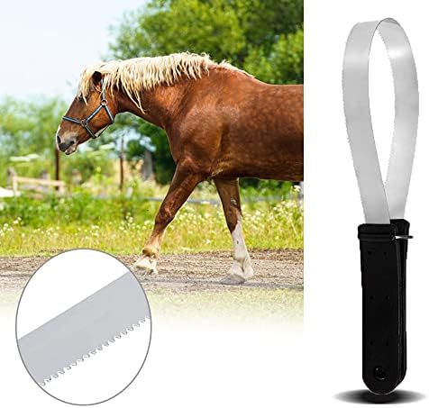 Raspador Sudor Acero 29.5cm Caballo